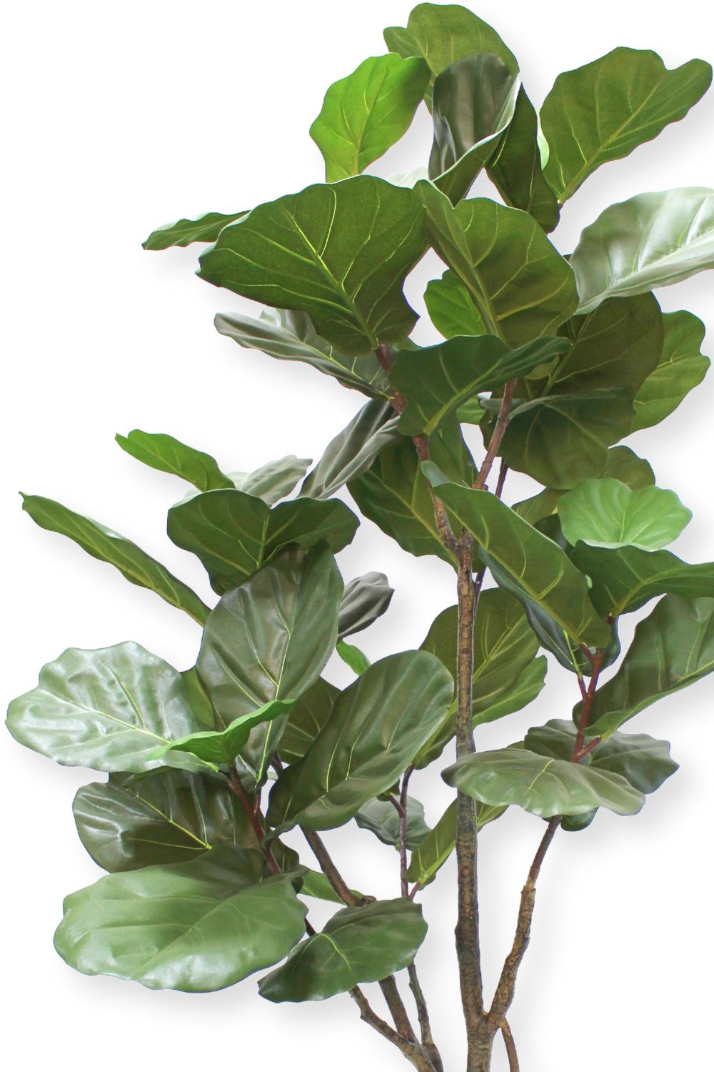 Ficus Lyrata Kunstpflanze 180cm