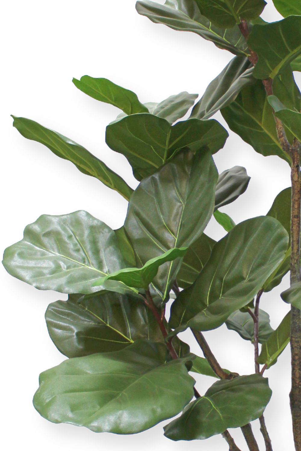 Ficus Lyrata Kunstpflanze 180cm