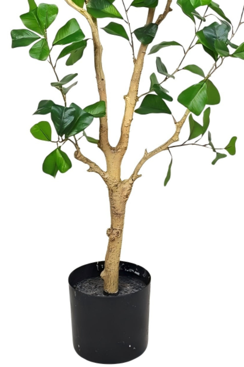 Ficus Triangularis Kunstpflanze 150cm