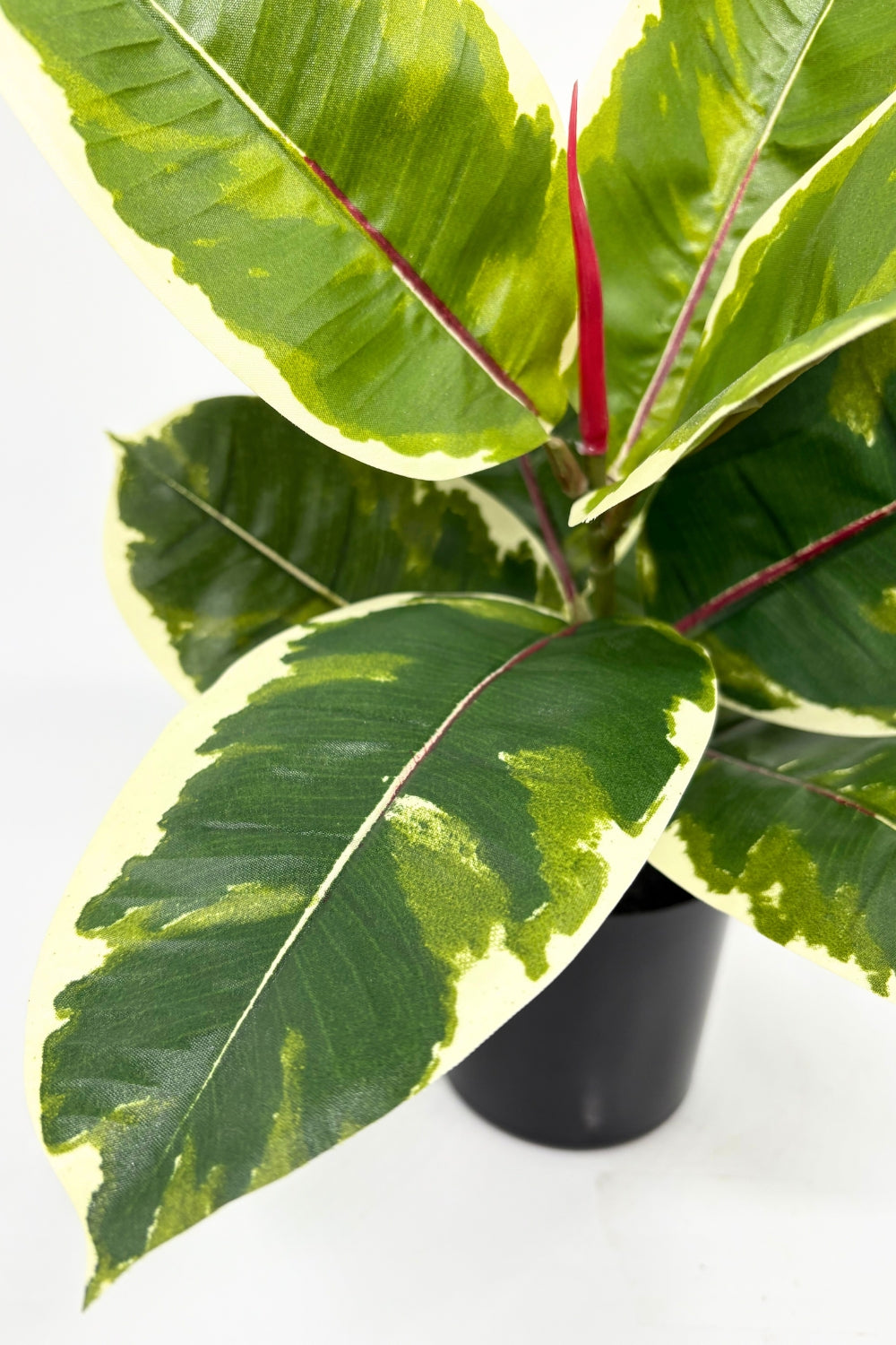 Ficus Elastica Kunstpflanze 30 cm - prettypflanzen 