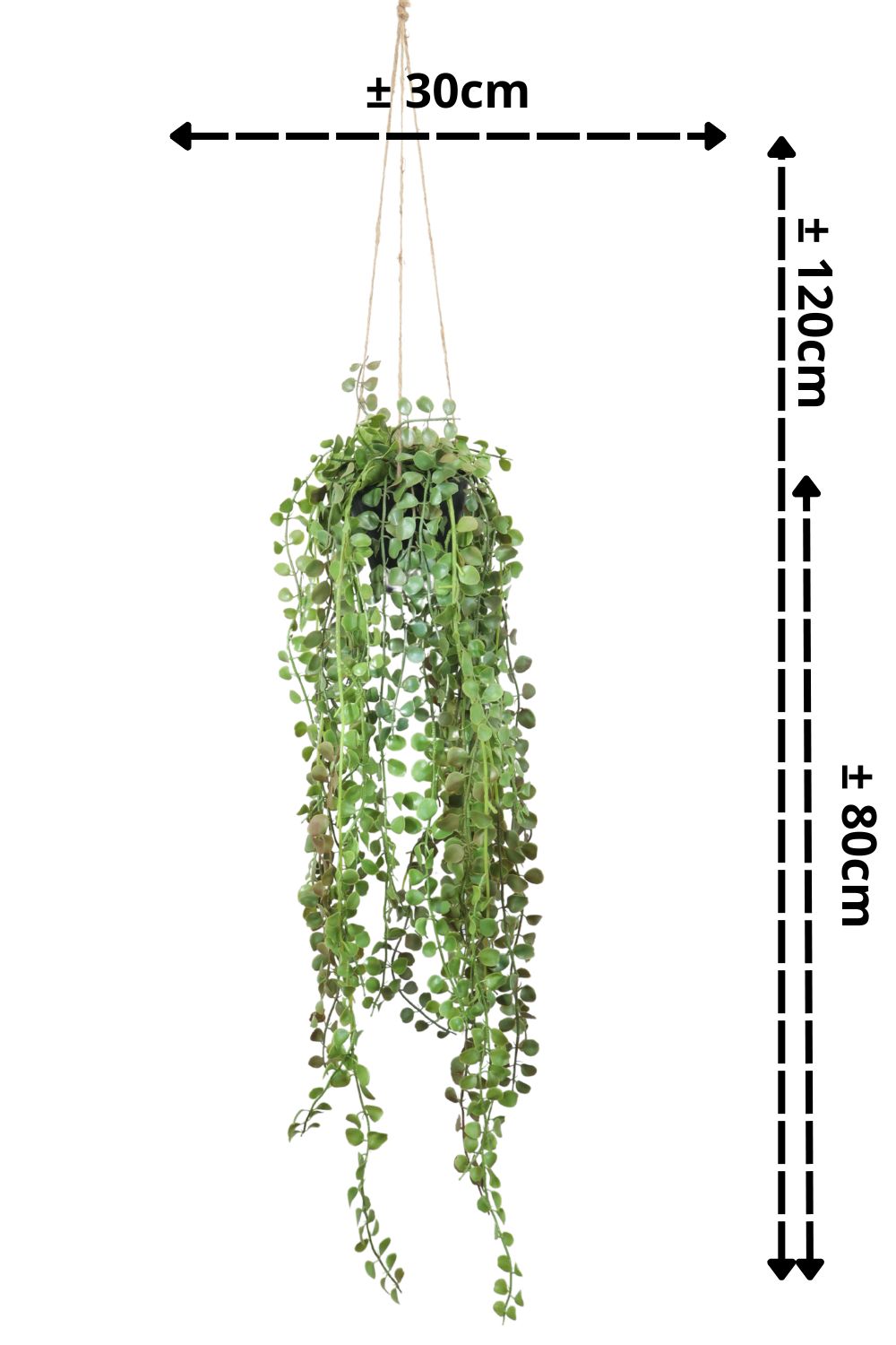 Ficus Pumilla Kunst-Hängepflanze 70 cm – prettypflanzen
