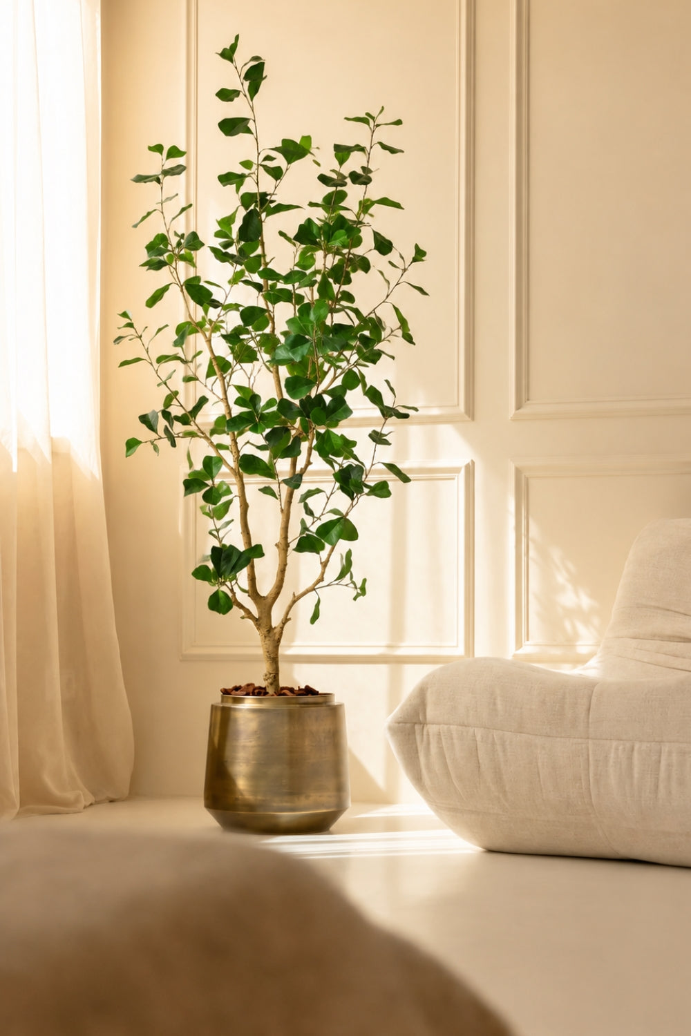 Ficus Triangularis Kunstpflanze 150cm
