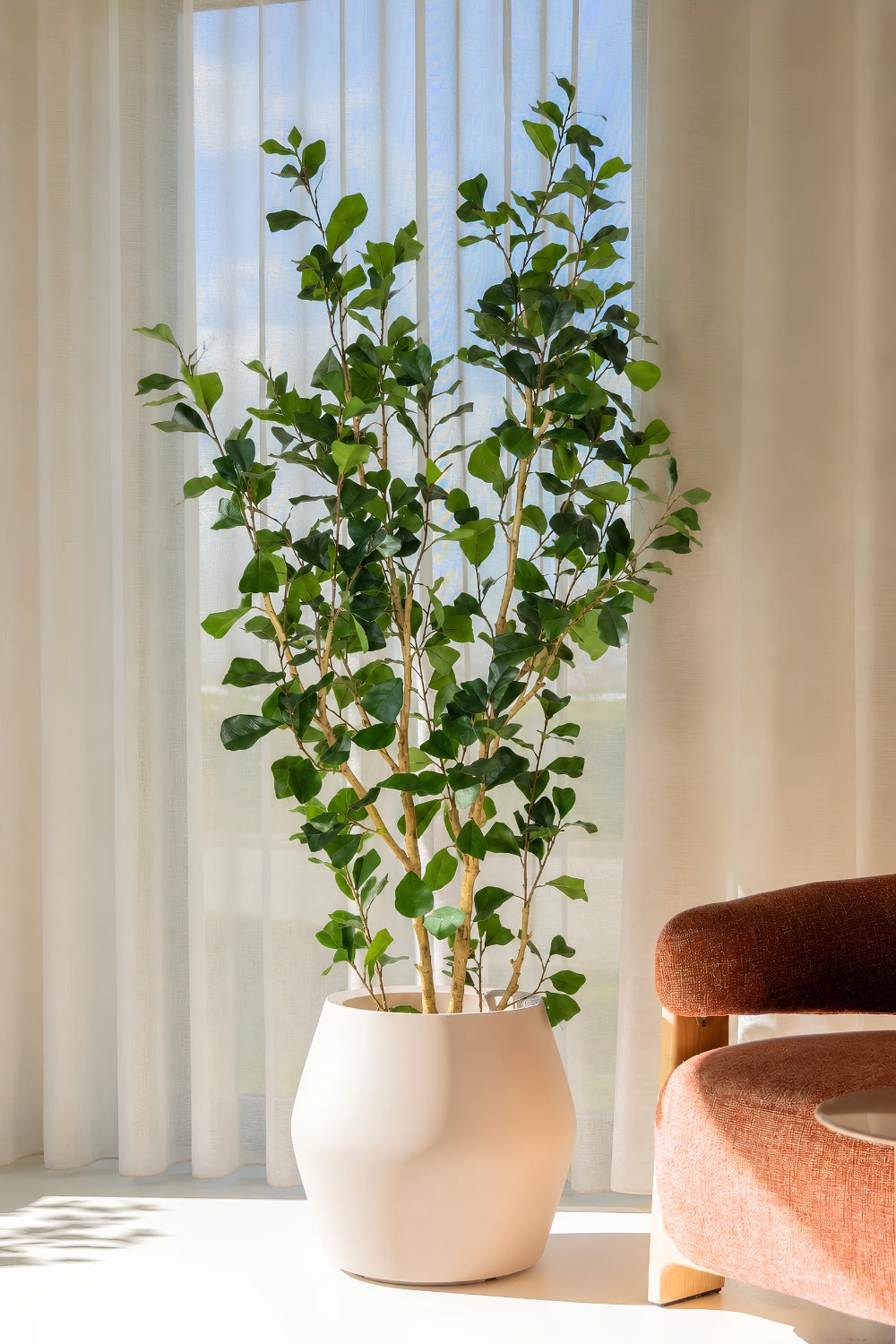 Ficus Triangularis Kunstpflanze 180cm