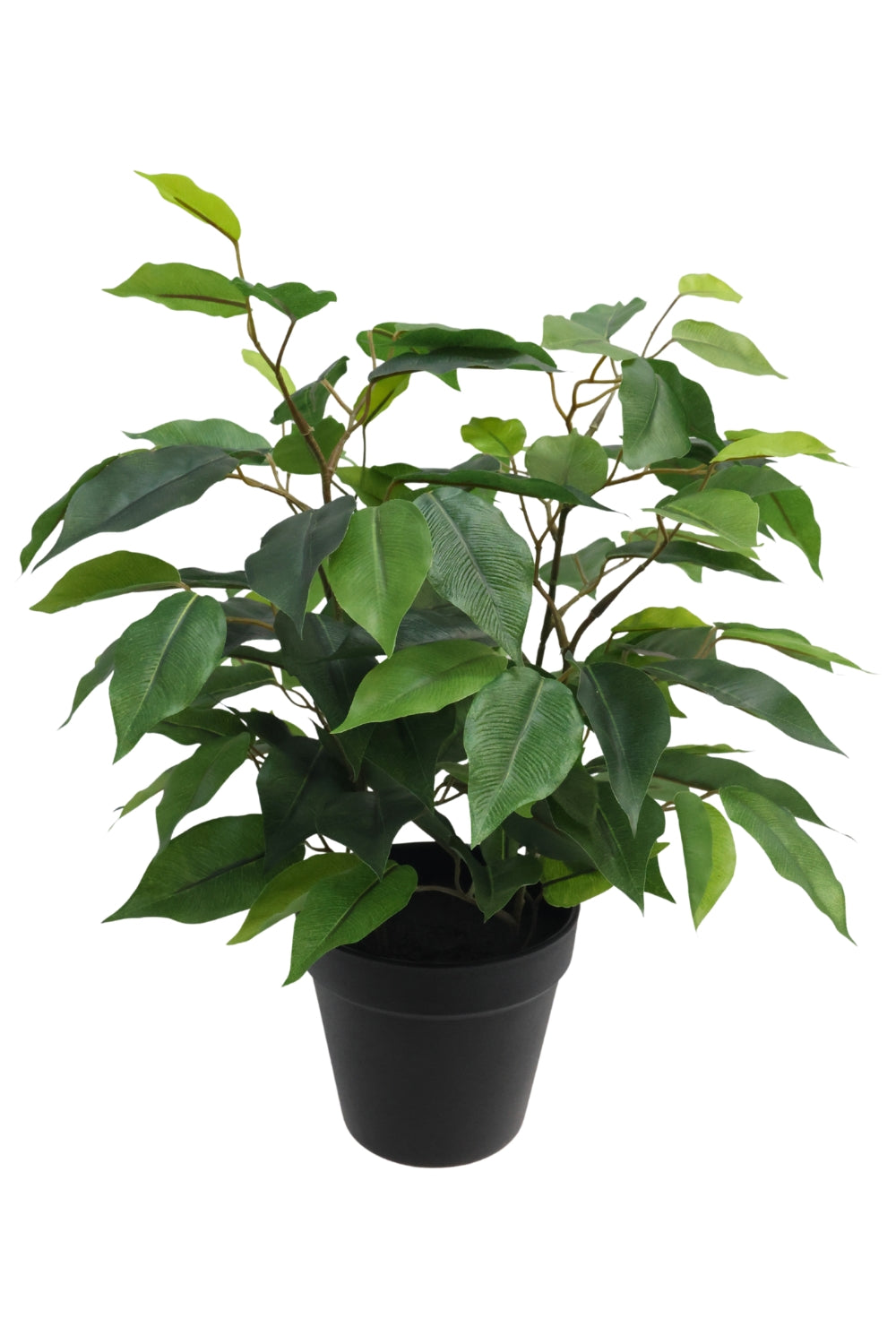 Ficus Kunstpflanze 40cm