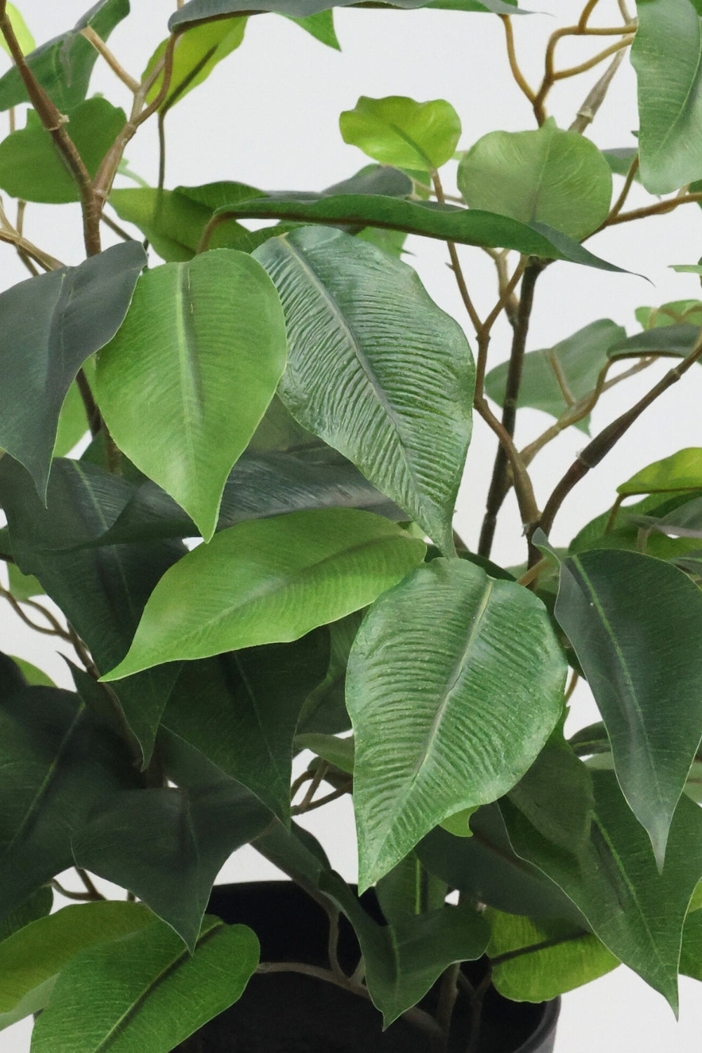 Ficus Kunstpflanze 40cm