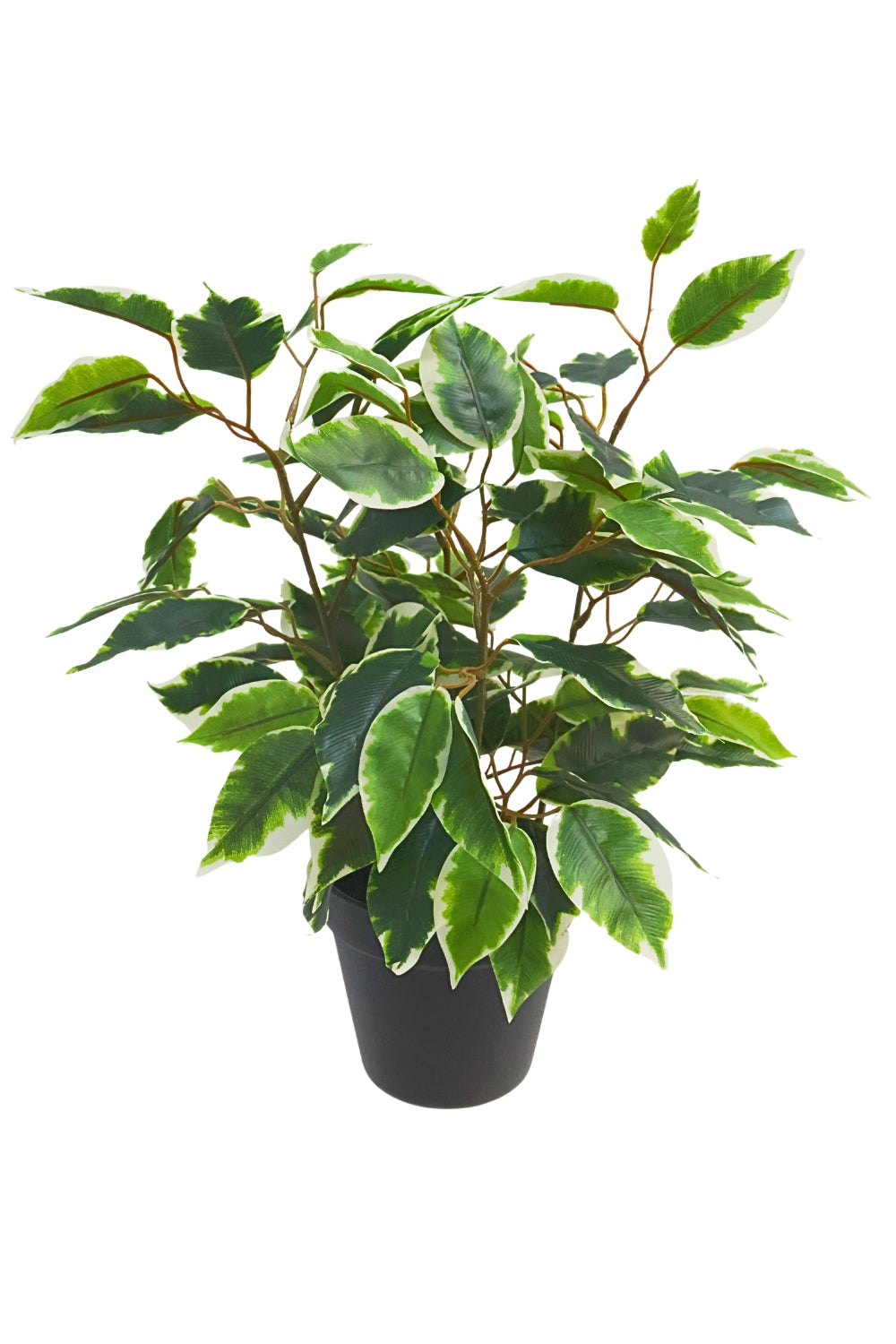 Ficus Kunstpflanze 40cm