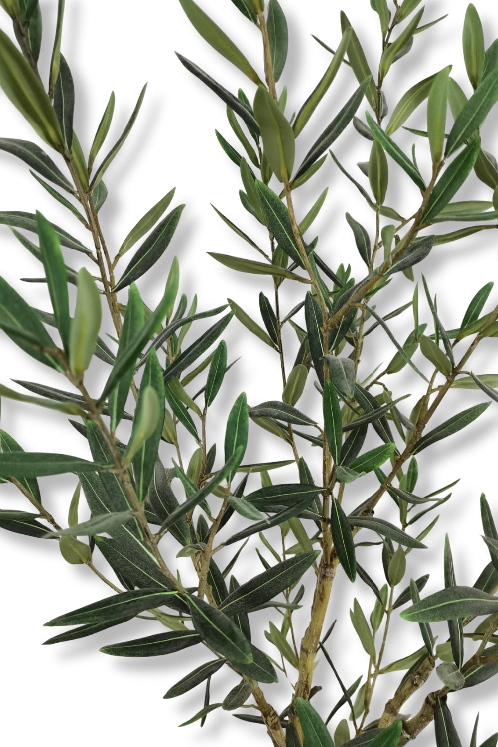 Künstlicher Olivenbaum 240cm