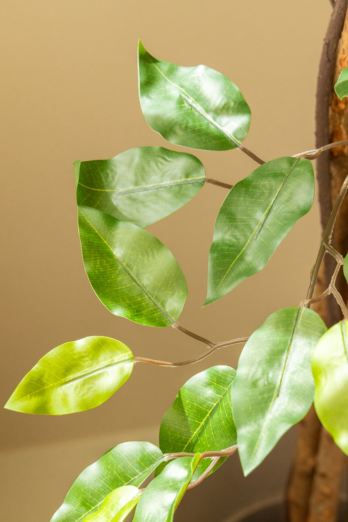 Ficus Kunstbaum 180cm