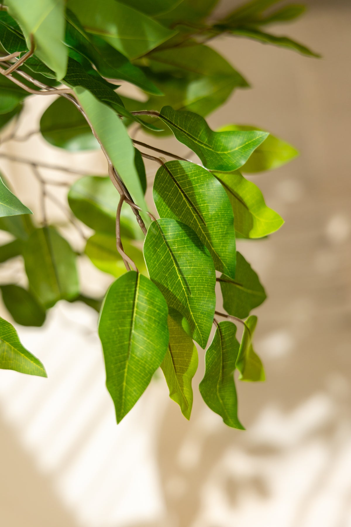 Ficus Kunstbaum 180cm