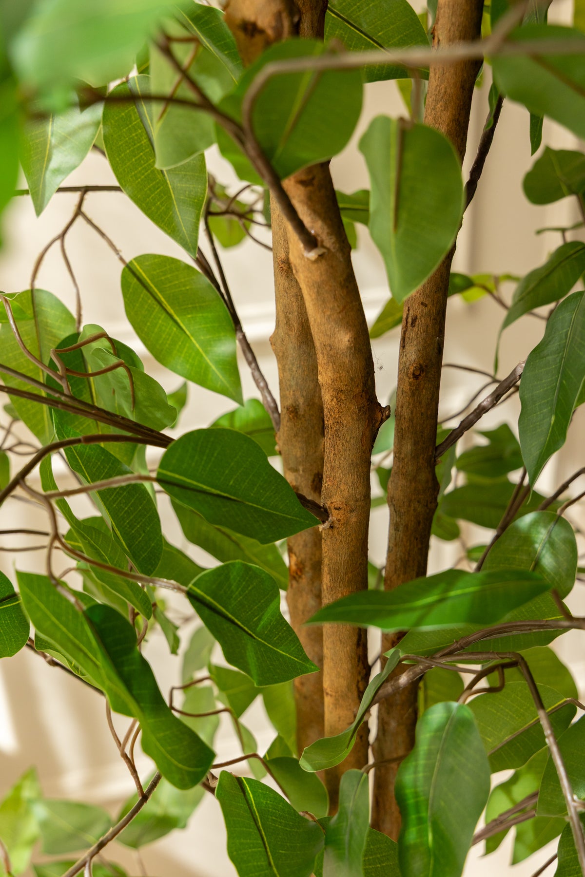 Ficus Kunstbaum 180cm