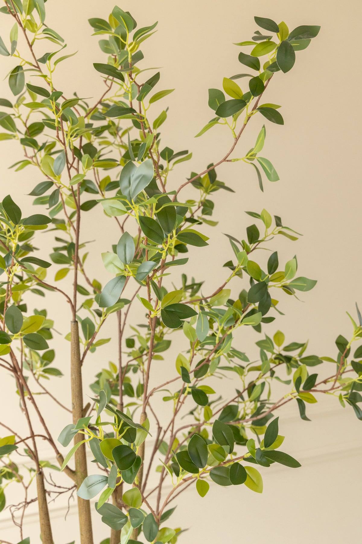 Ficus Kunstpflanze 180cm