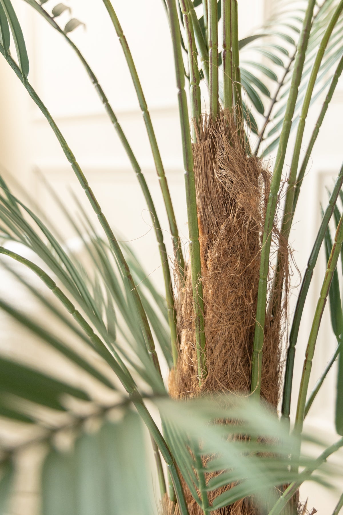 Palme Kunstpflanze 150cm