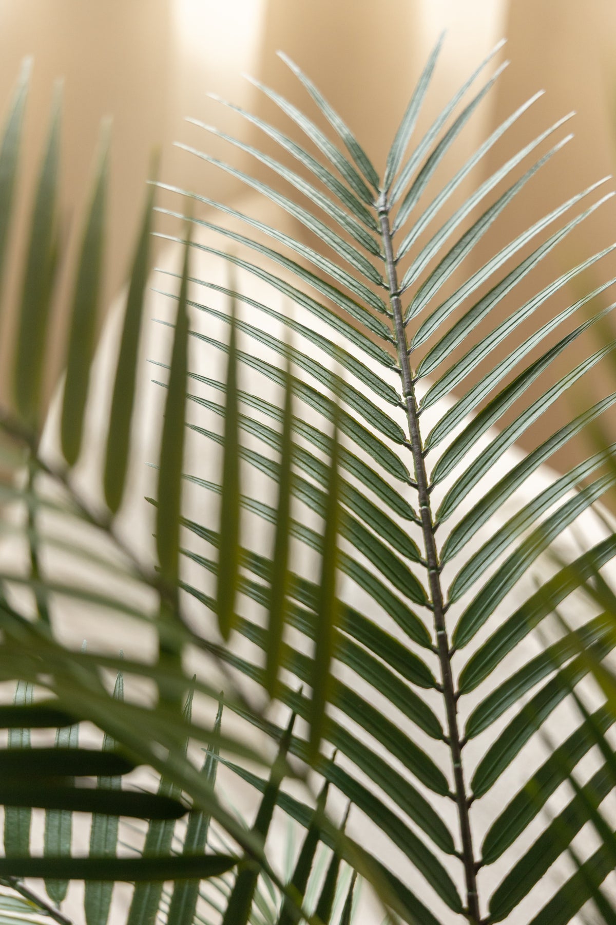Palme Kunstpflanze 150cm