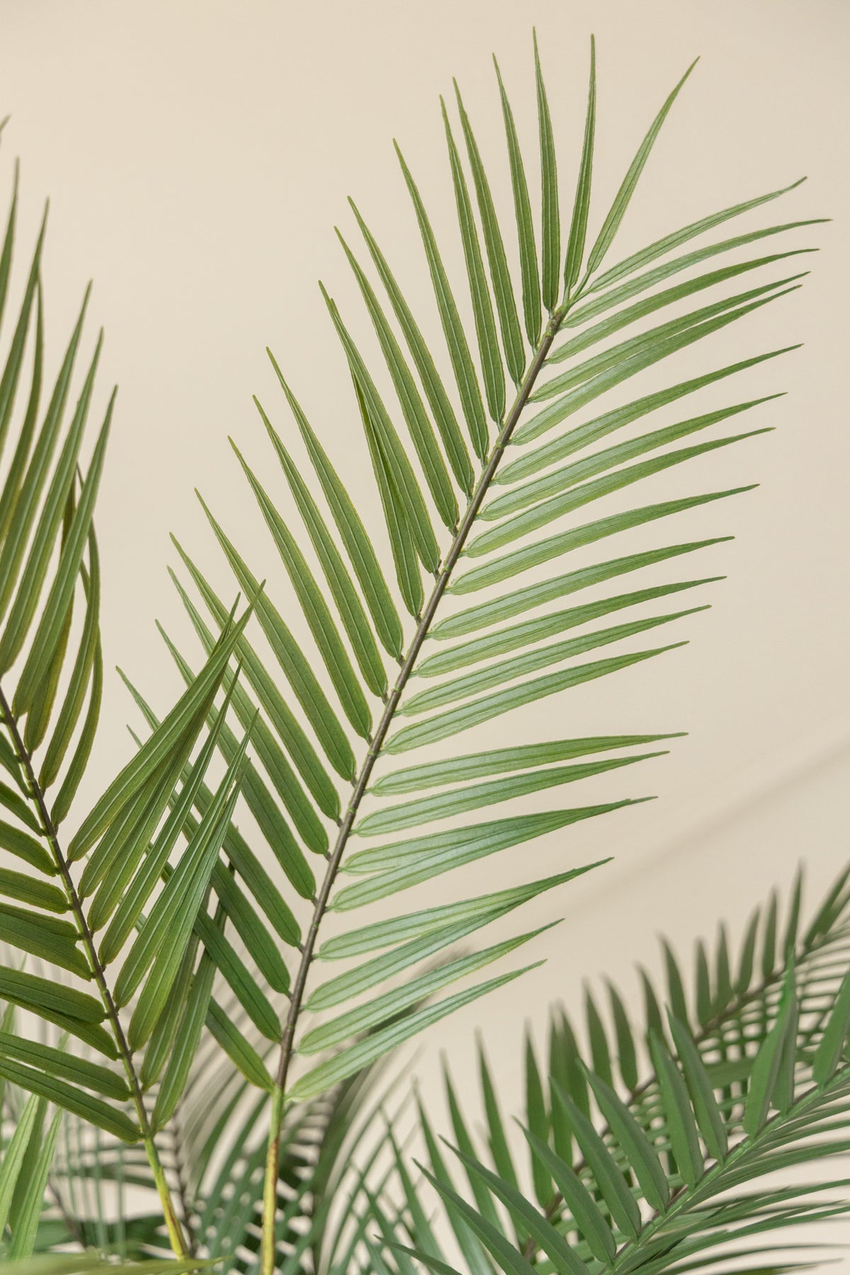Palme Kunstpflanze 150cm