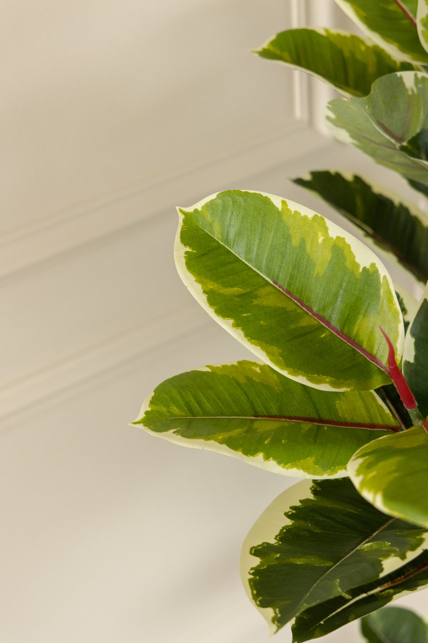 Ficus Kunstpflanze 120cm