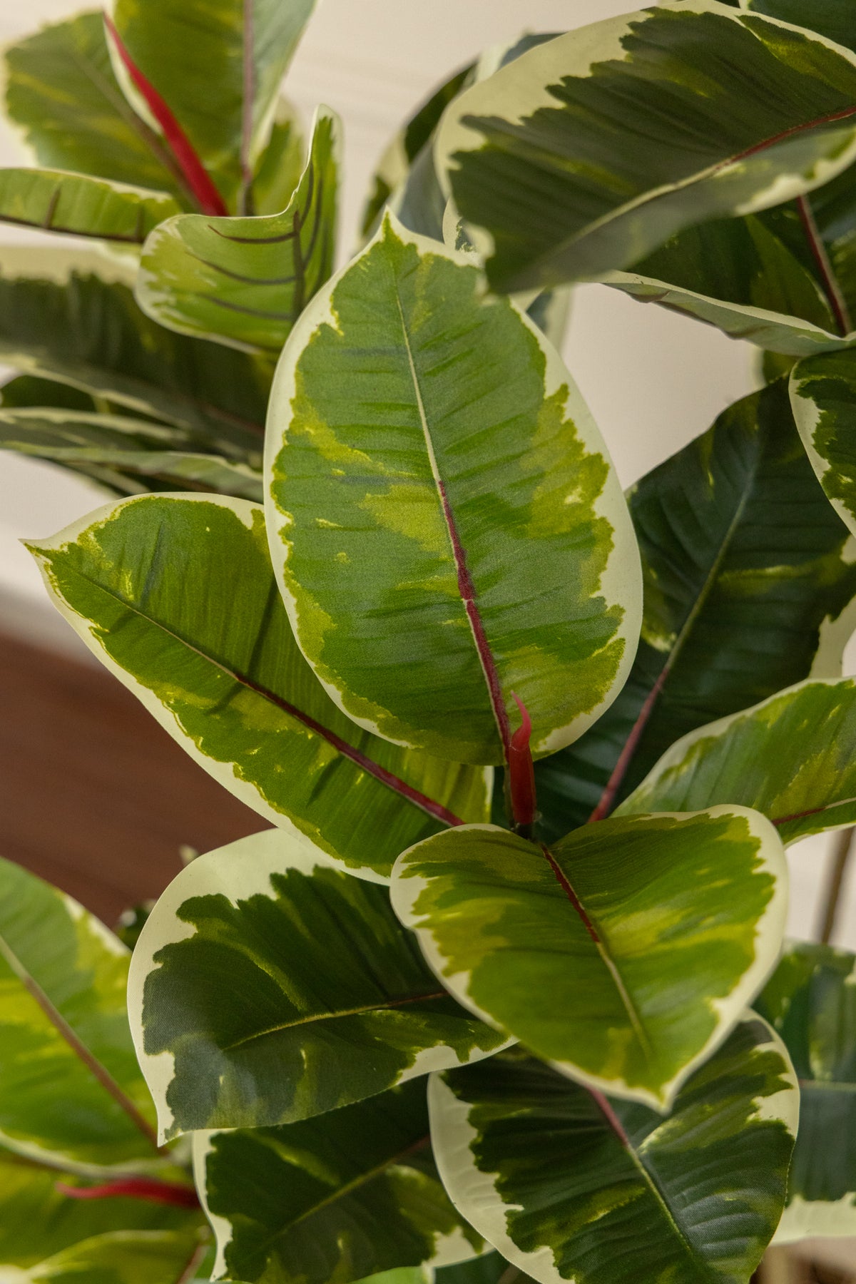 Ficus Kunstpflanze 120cm