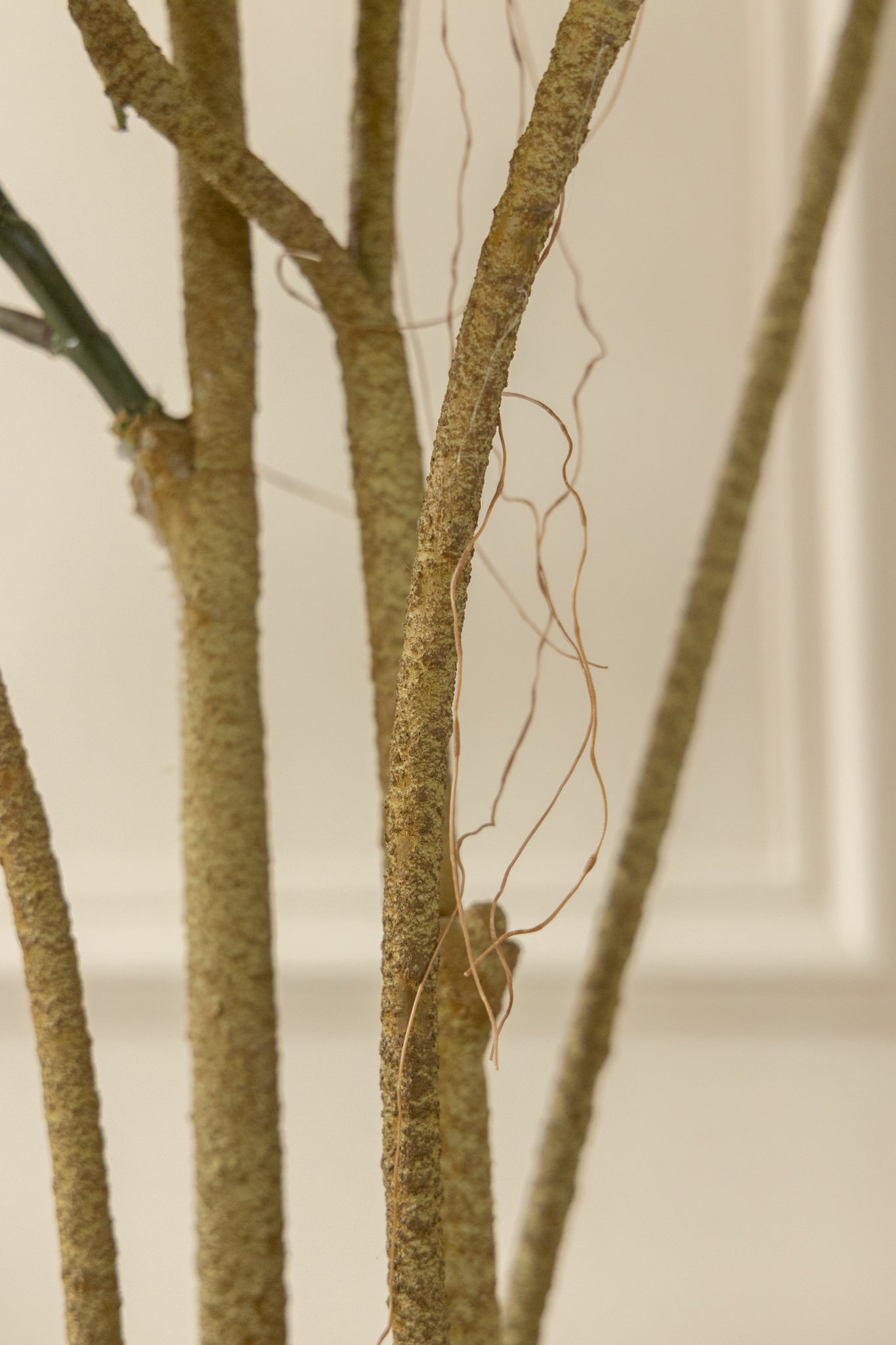 Ficus Kunstpflanze 120cm