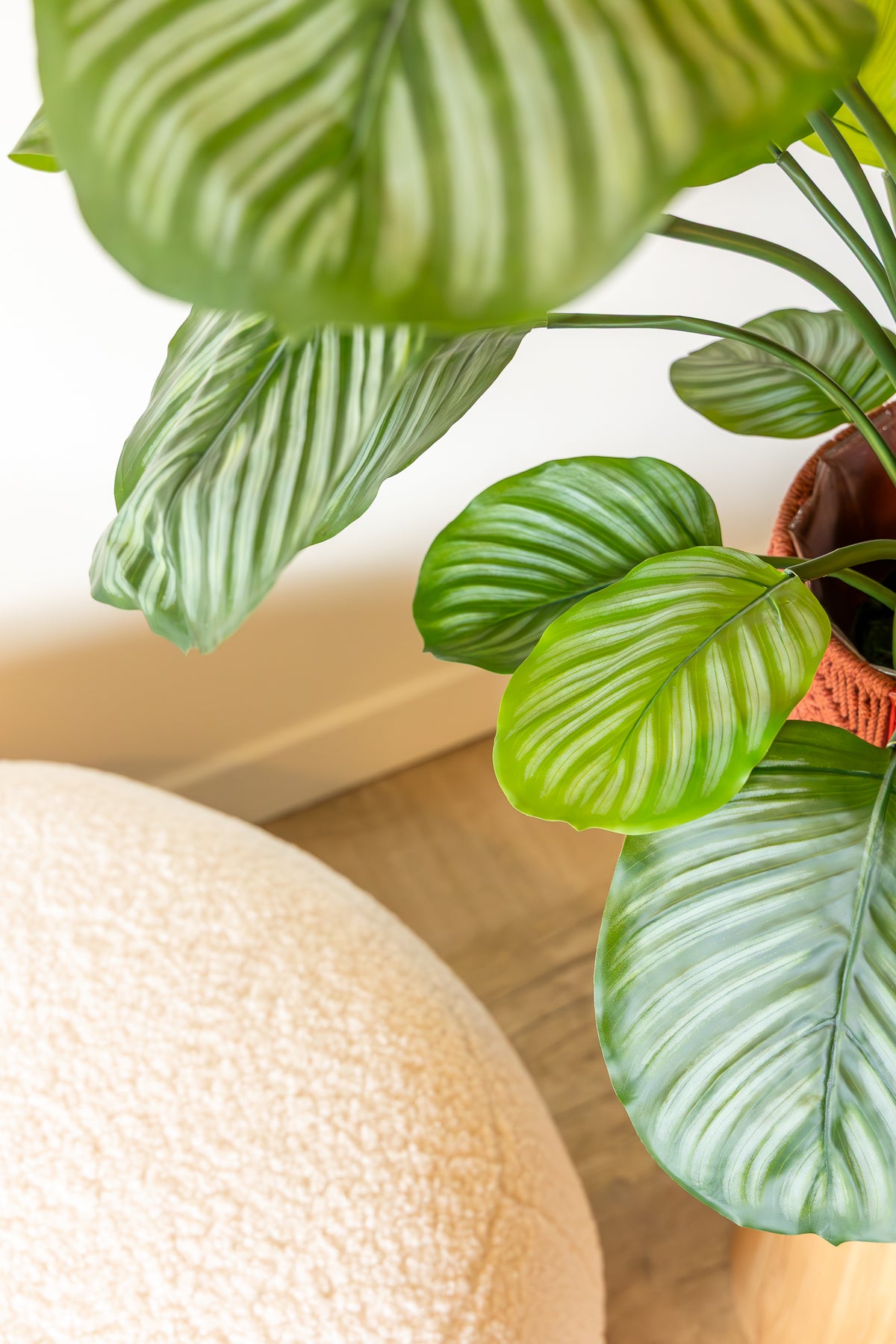 Calathea Kunstpflanze 80cm