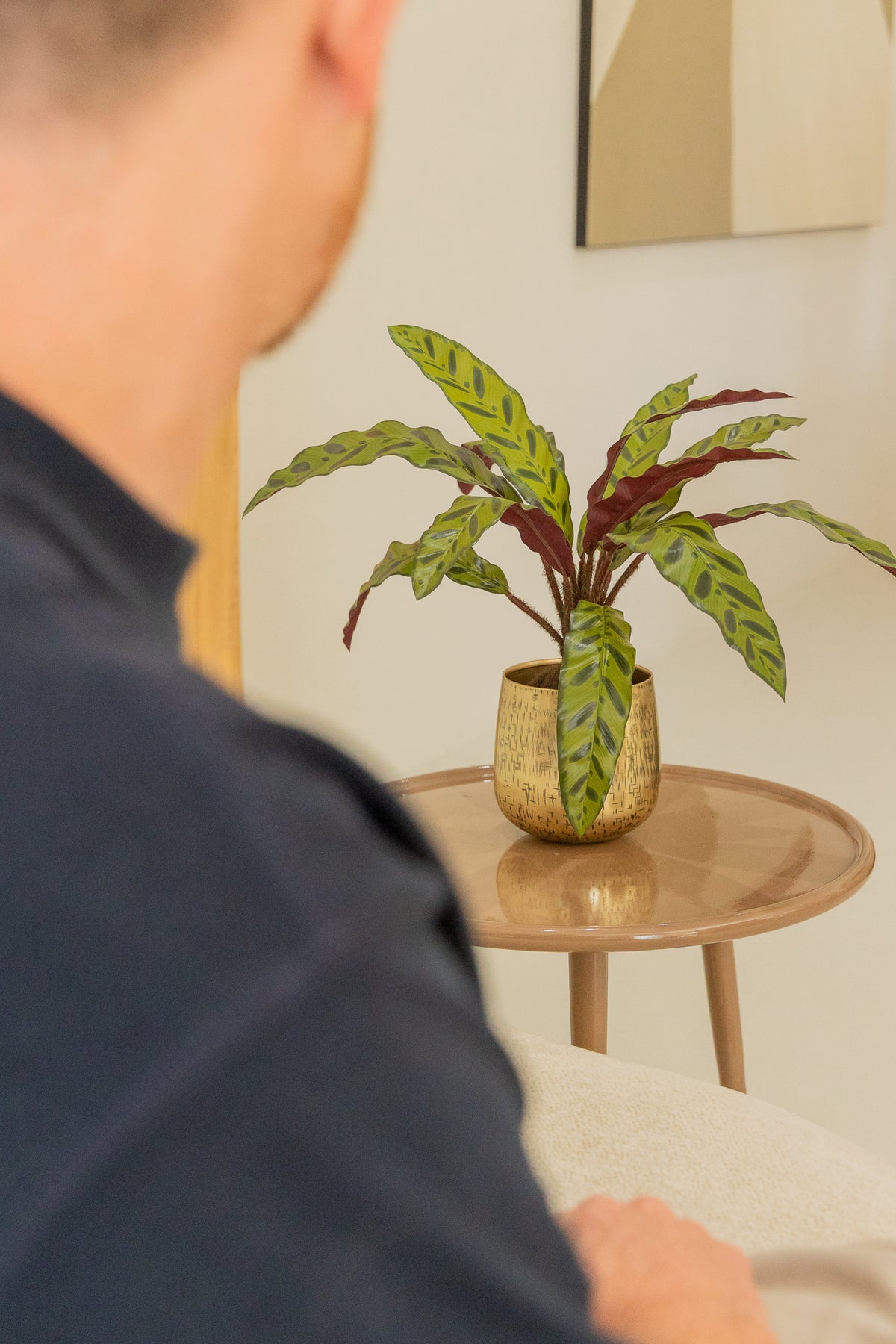 Calathea Kunstpflanze 45cm