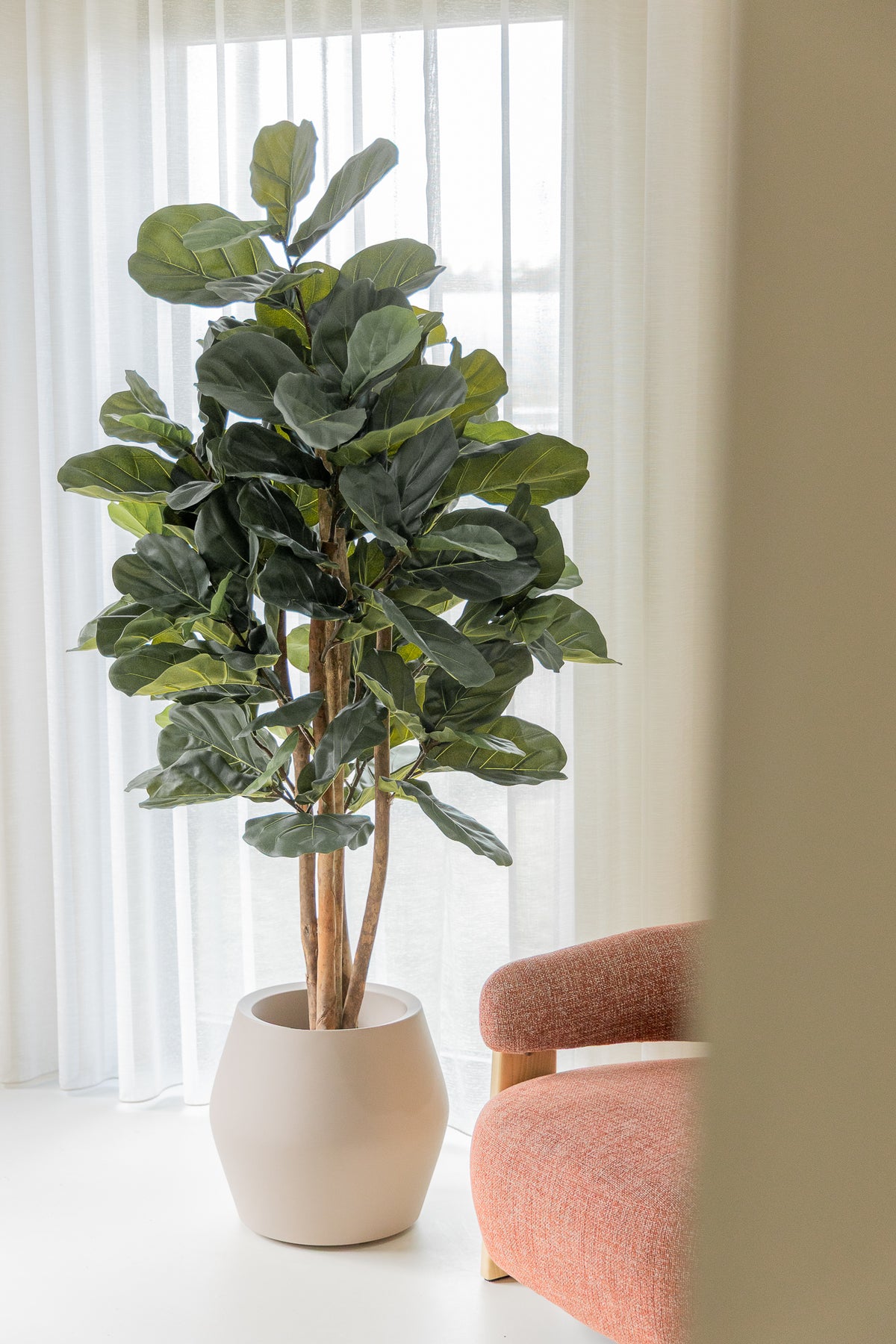 Ficus Kunstpflanze 180cm
