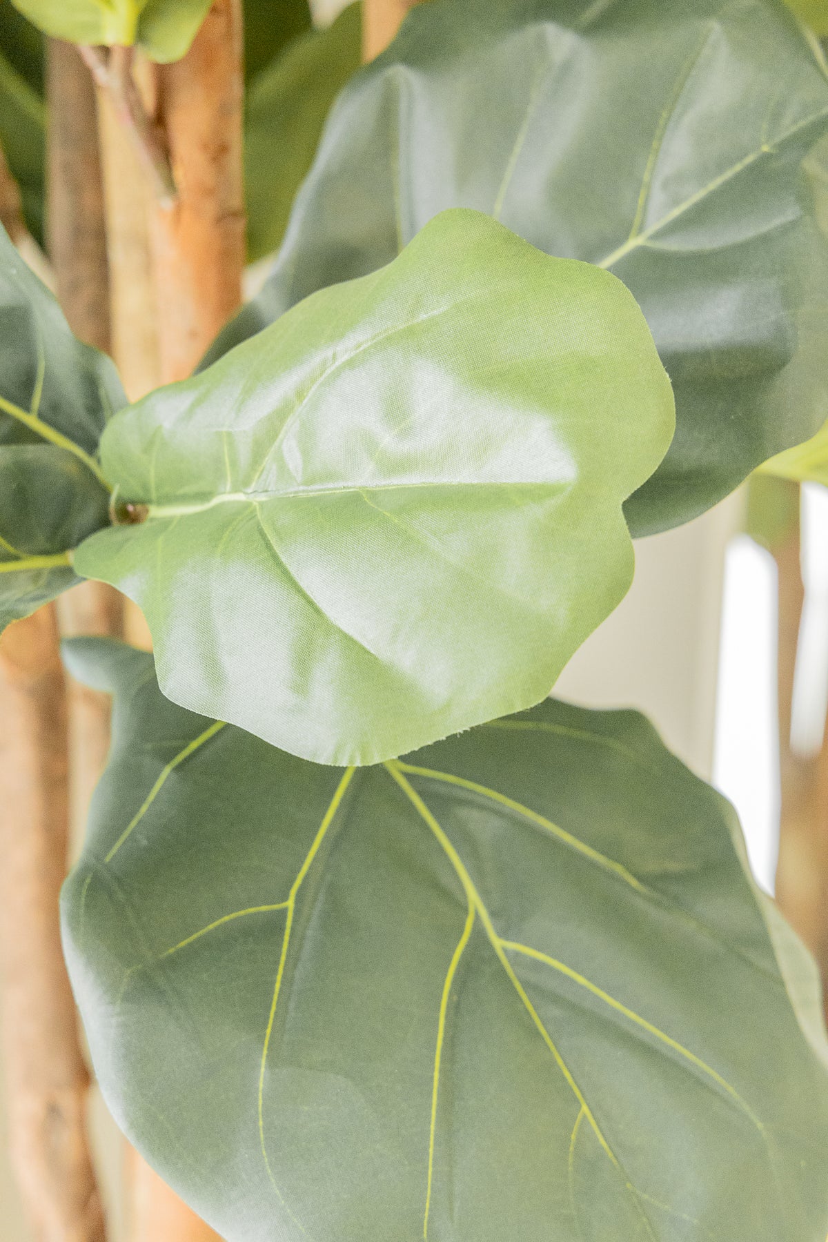 Ficus Kunstpflanze 120cm