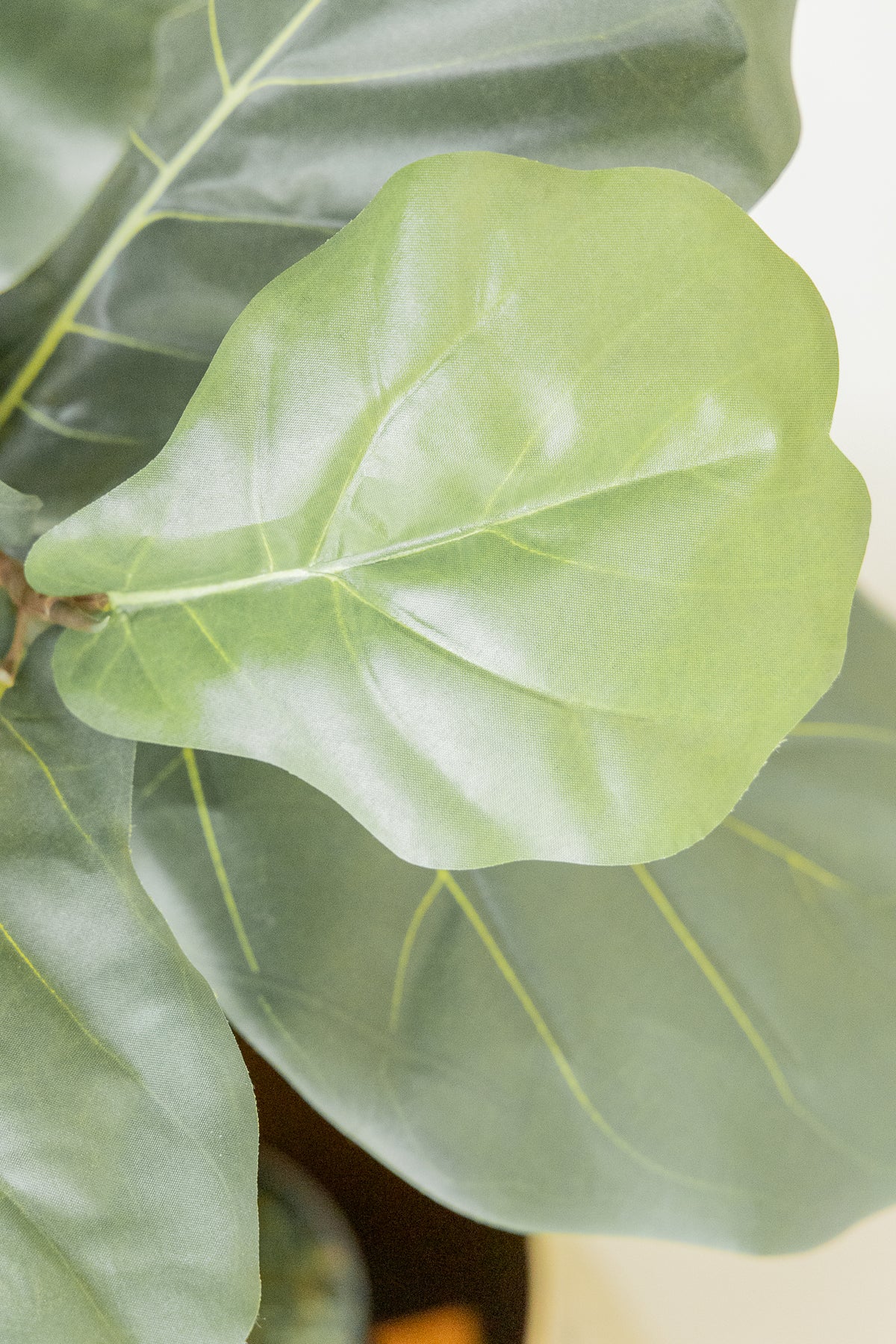 Ficus Kunstpflanze 120cm