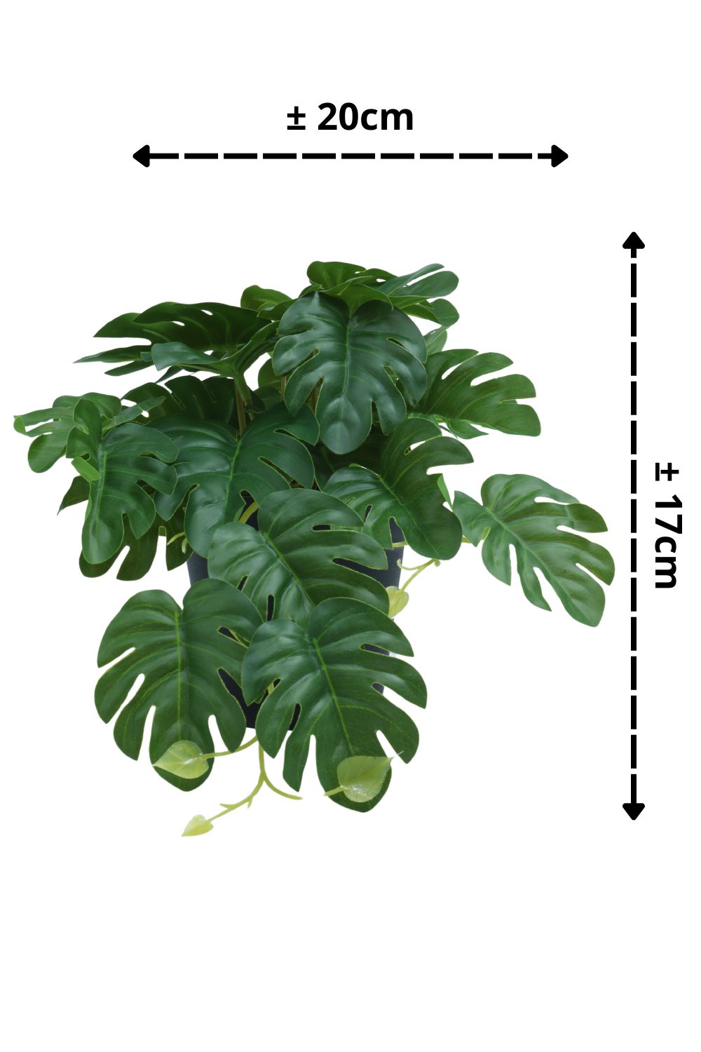 Monstera Kunstpflanze 17 cm - prettypflanzen