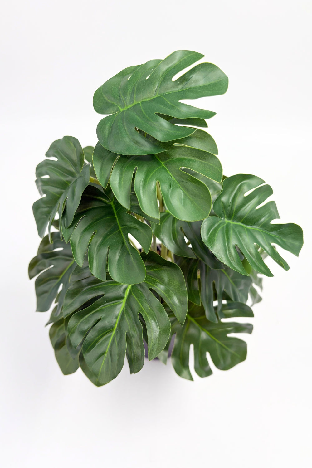 Monstera Kunstpflanze 32 cm – PrettyPflanzen