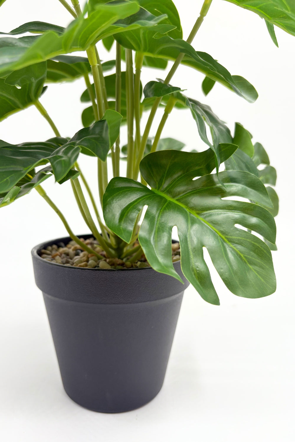 Monstera Kunstpflanze 32 cm – PrettyPflanzen