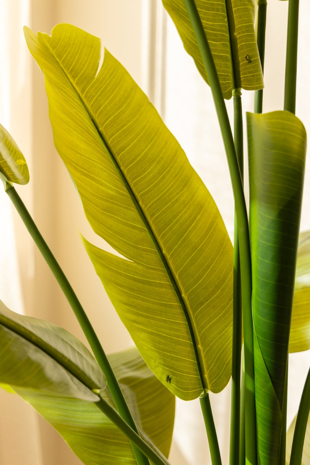 Strelitzia Kunstpflanze 180cm
