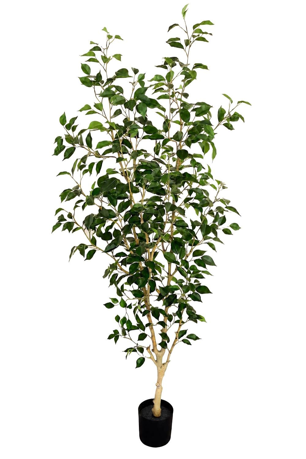 Ficus Kunstpflanze 180cm