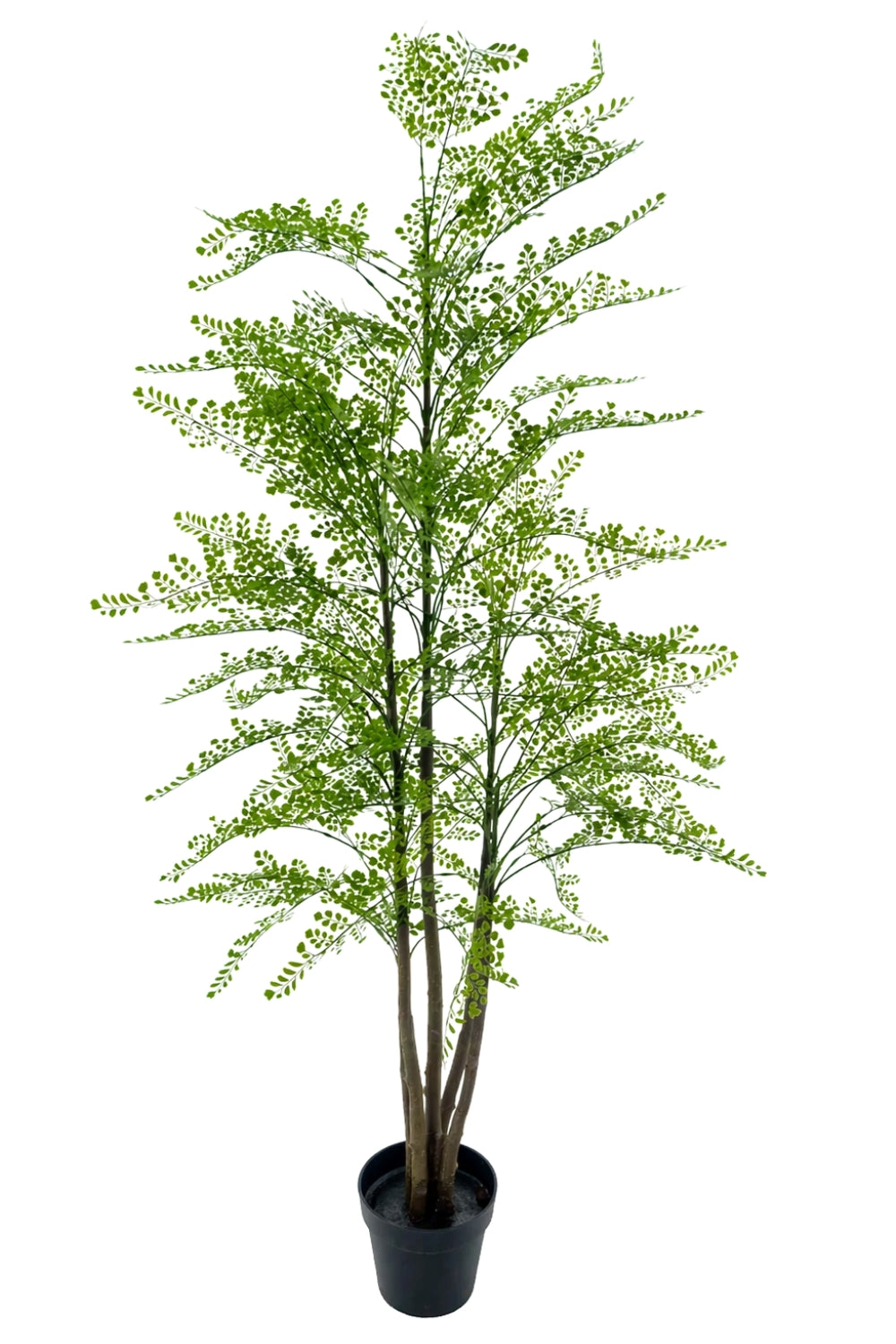 Maidenhair Farn Kunstpflanze 180 cm