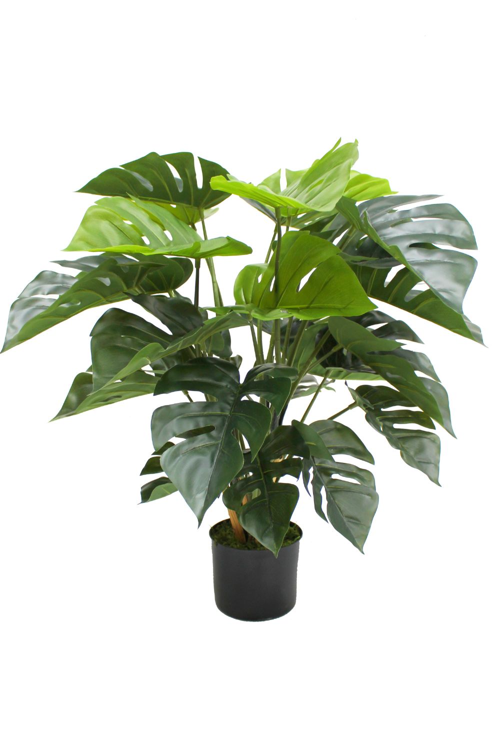 Monstera Kunstpflanze 65cm