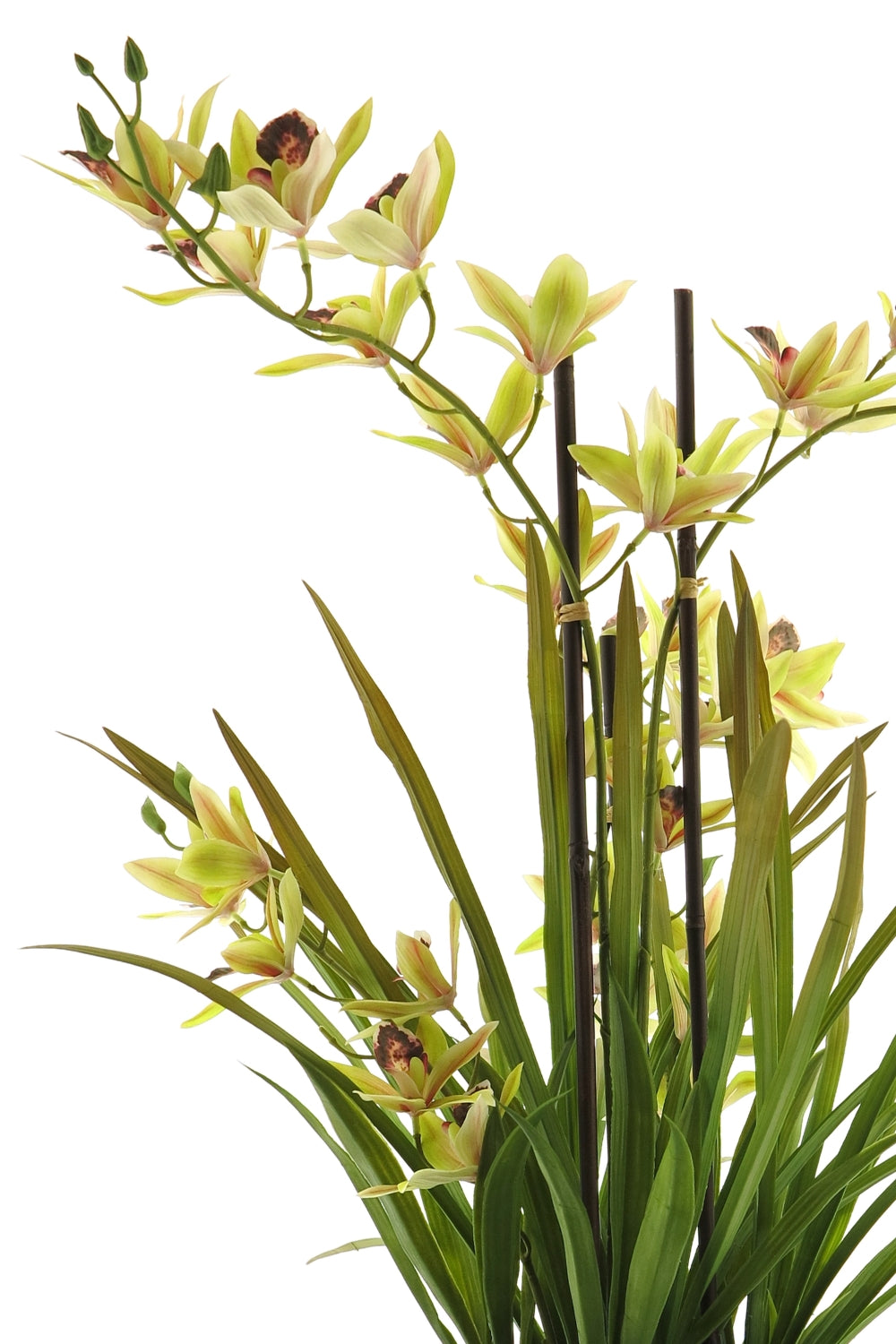 Künstliche Meadow Orchidee Grün Creme 70 cm
