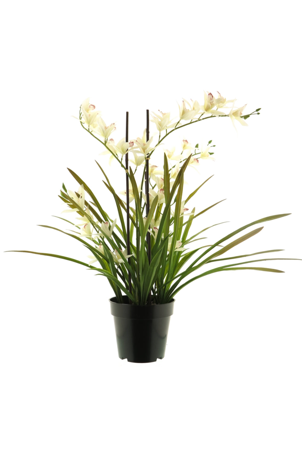 Künstliche Meadow Orchidee Creme Weiß 70 cm
