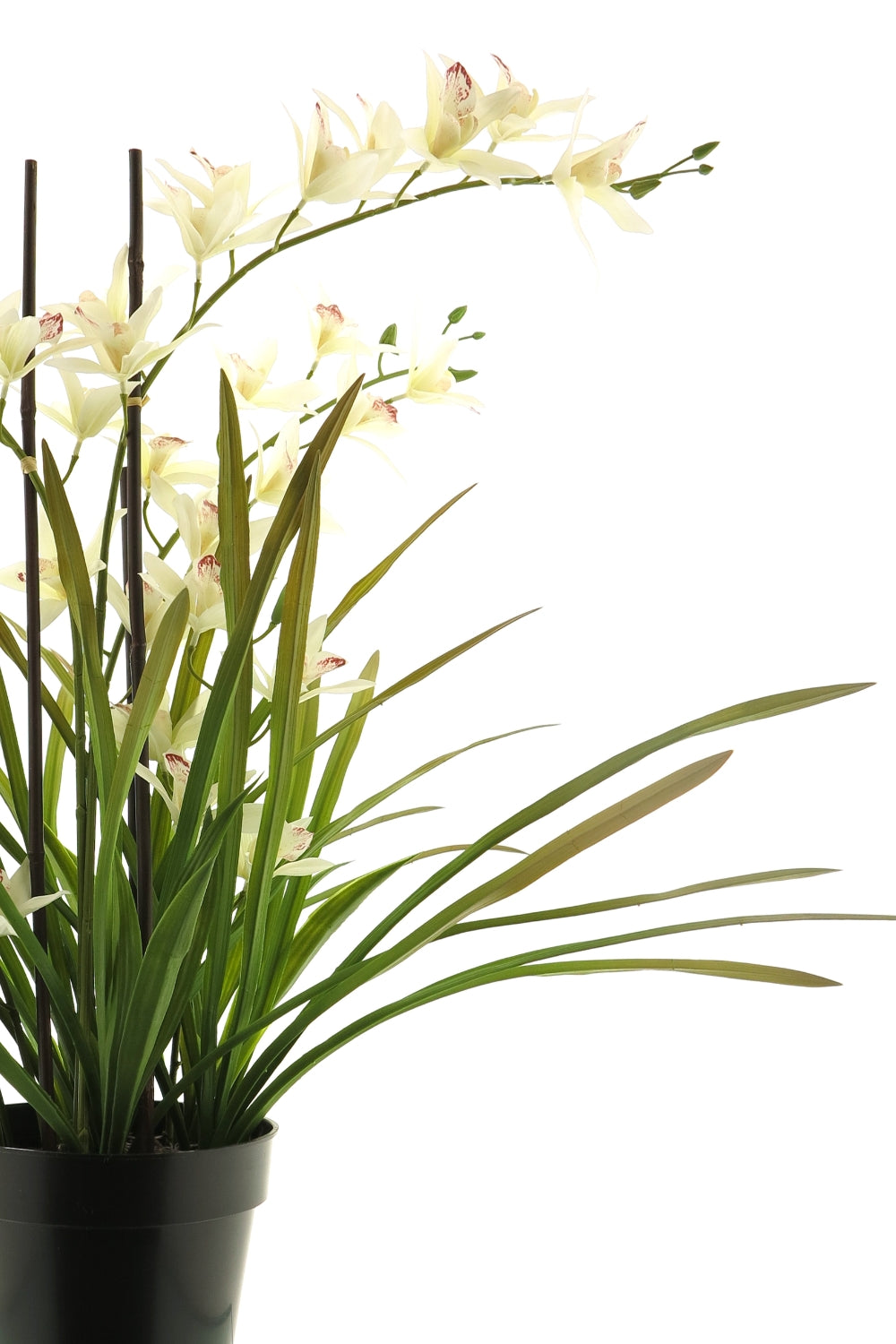 Künstliche Meadow Orchidee Creme Weiß 70 cm