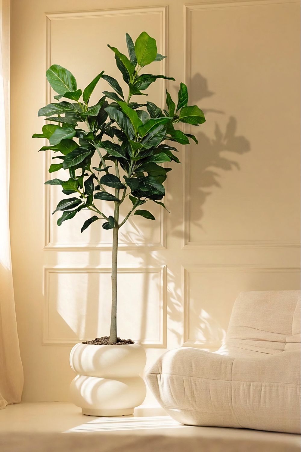 Ficus Audrey Kunstpflanze 210cm