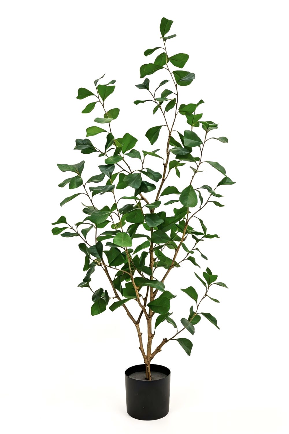 Ficus Triangularis Kunstpflanze 120cm