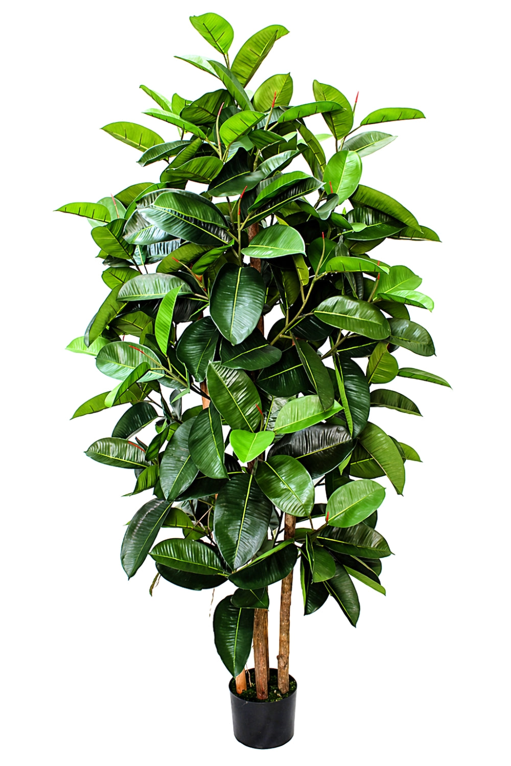 Ficus Elastica Kunstpflanze 180cm