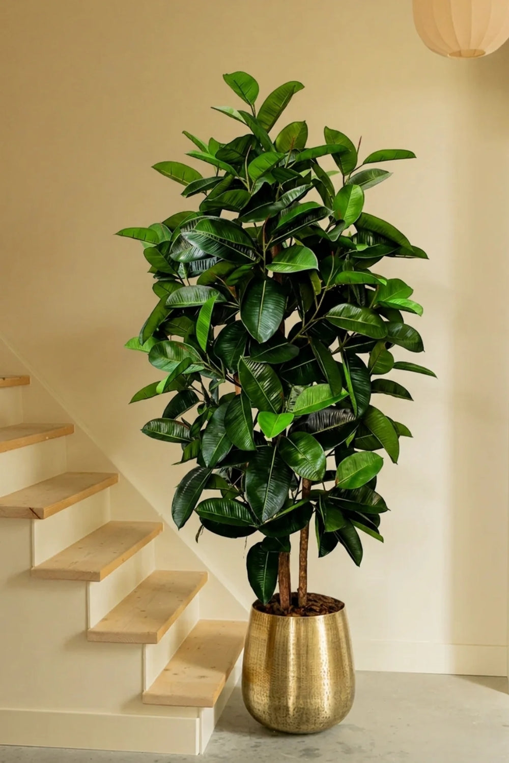 Ficus Elastica Kunstpflanze 180cm
