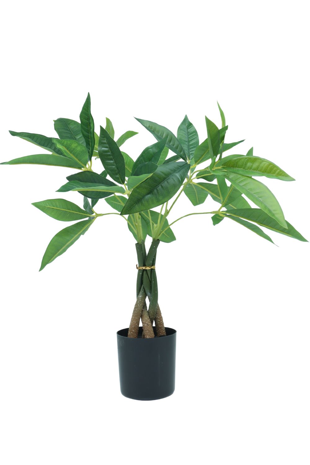 Pachira Kunstpflanze 45 cm - prettypflanzen