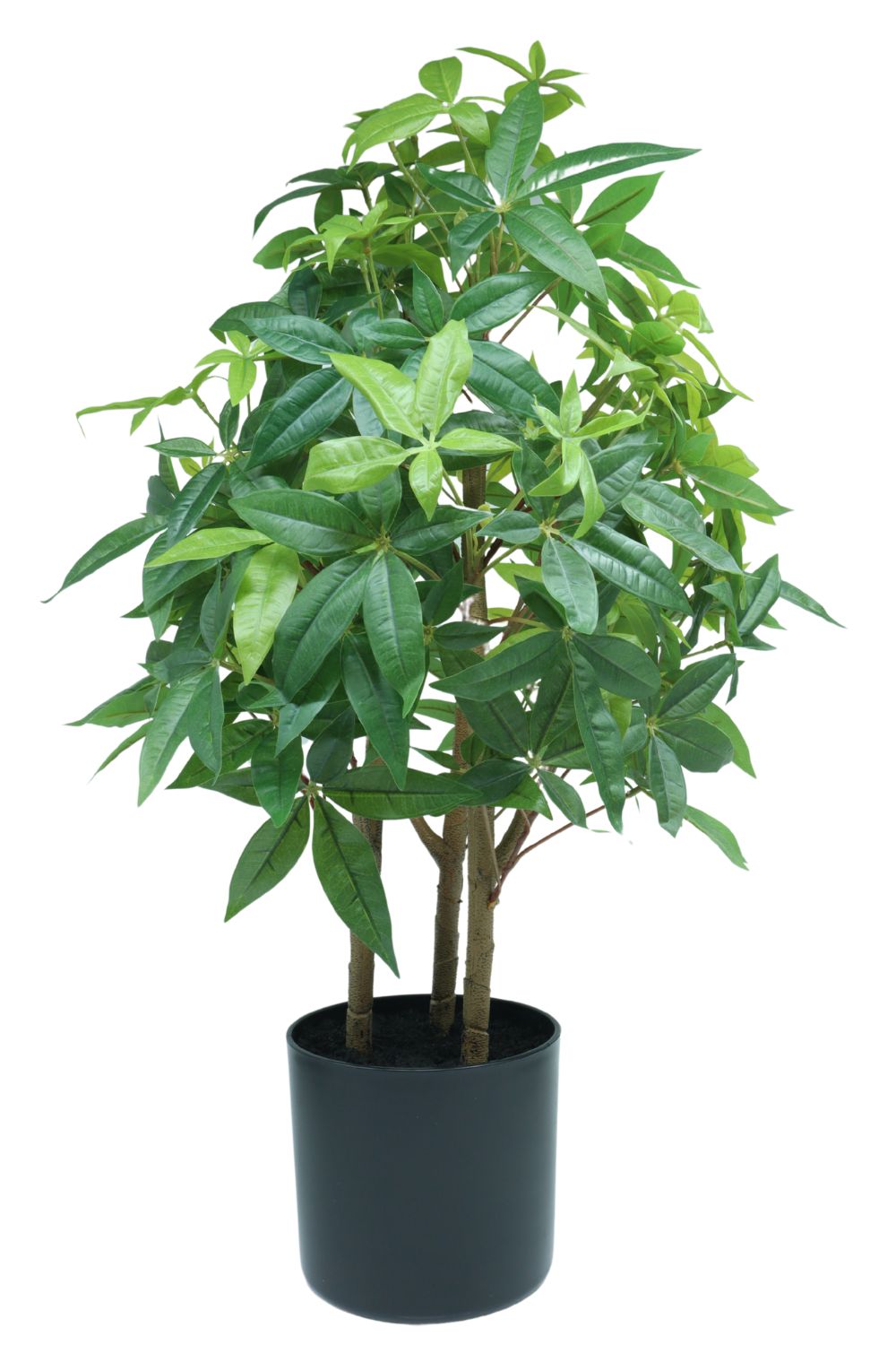 Pachira Kunstpflanze 70cm - prettypflanzen