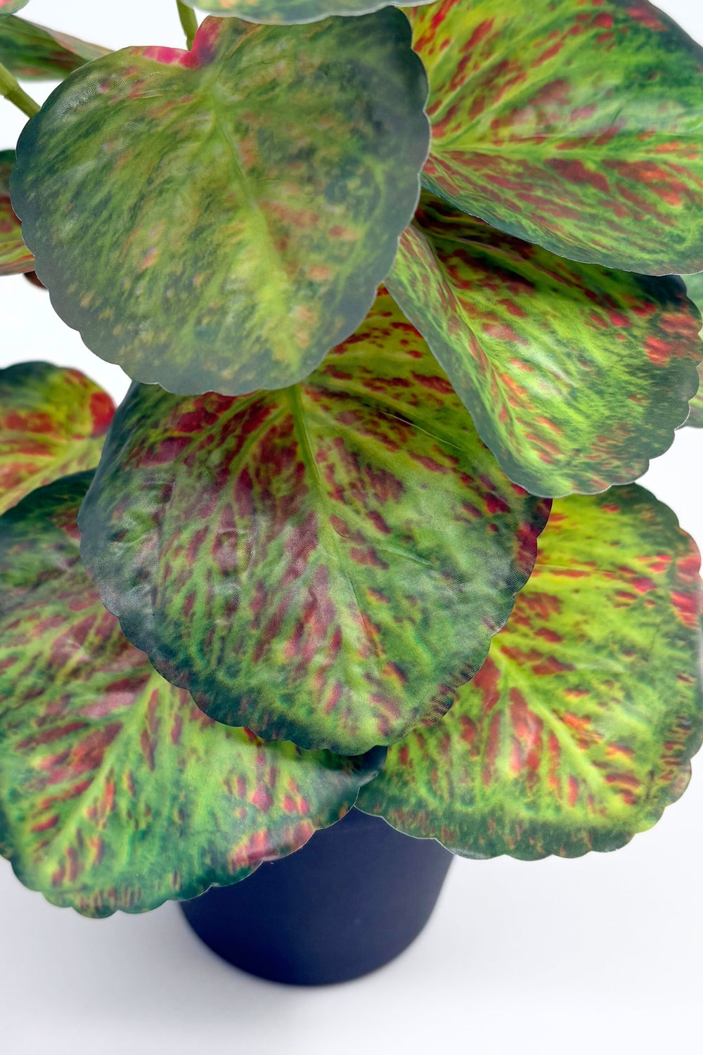 Taro Kunstpflanze 32 cm – PrettyPflanzen