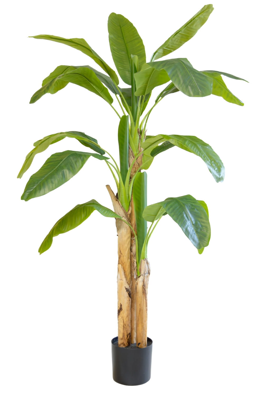 Bananenstaude Kunstpflanze 180cm