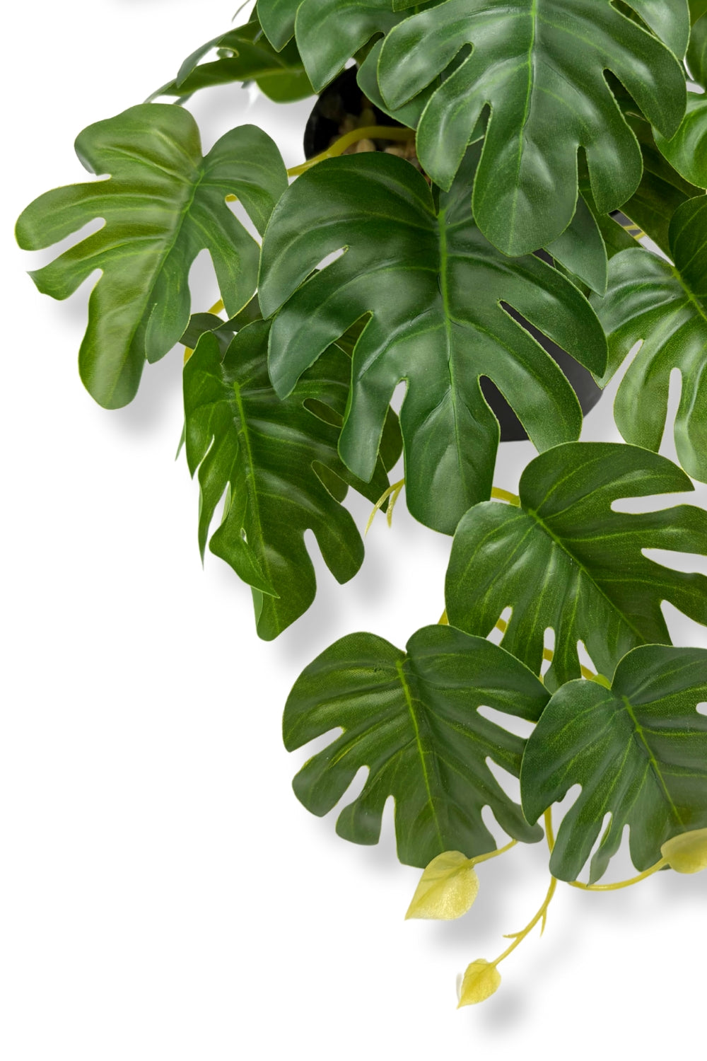 Monstera Kunstpflanze 17 cm - prettypflanzen