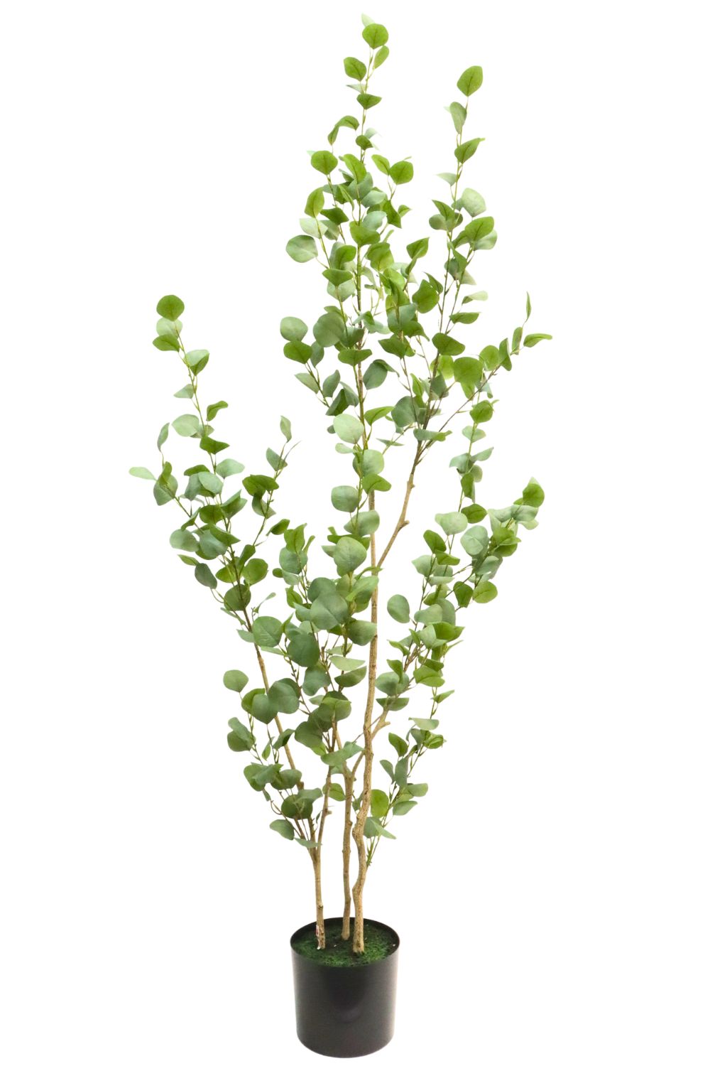 Eukalyptus Kunstpflanze 180cm