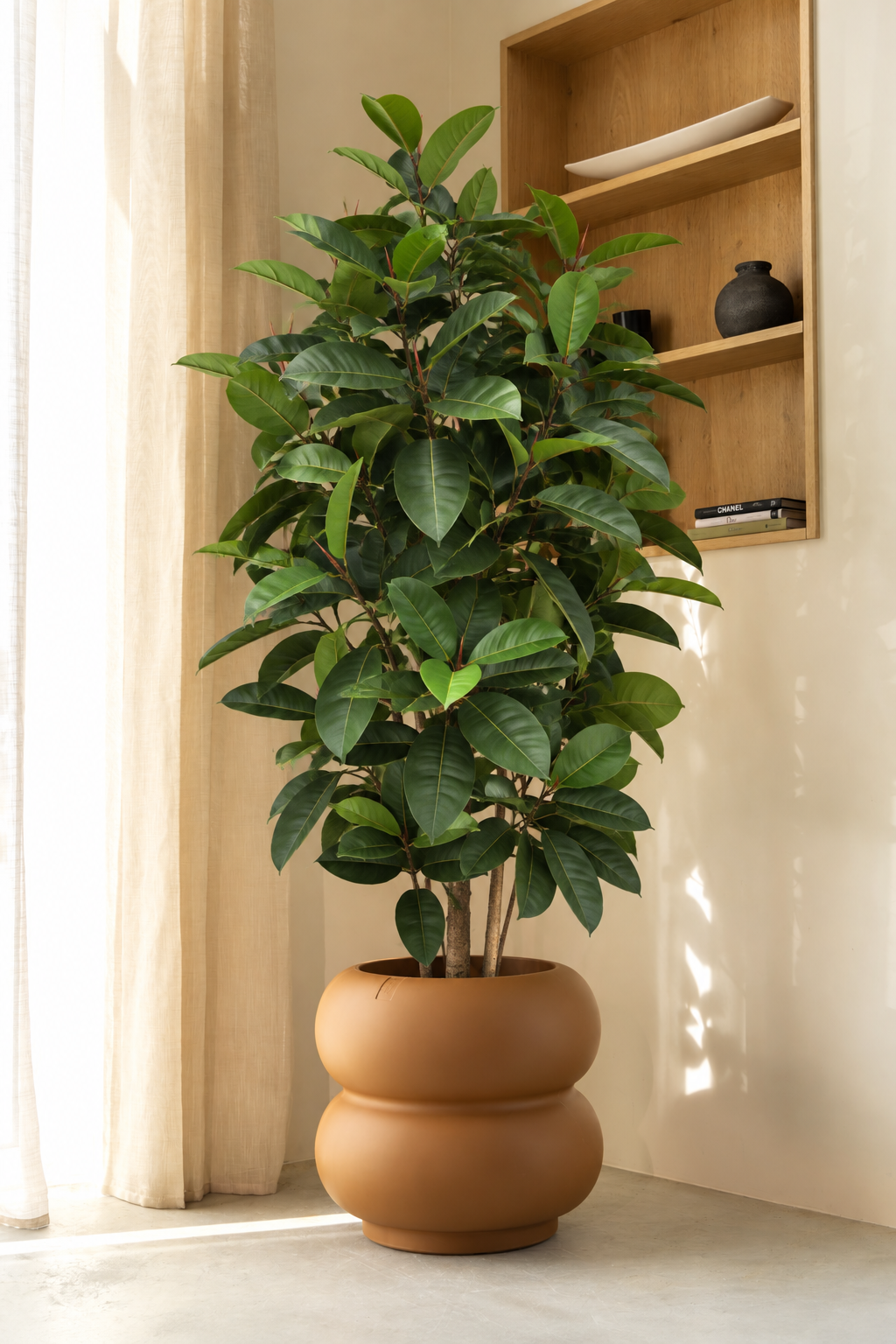 Ficus Elastica Kunstpflanze 180cm