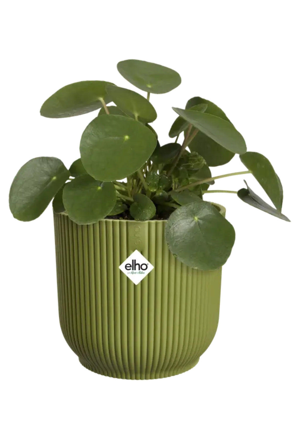 Blumentopf Elho Vibes Fold Rund 18 cm Farngrün
