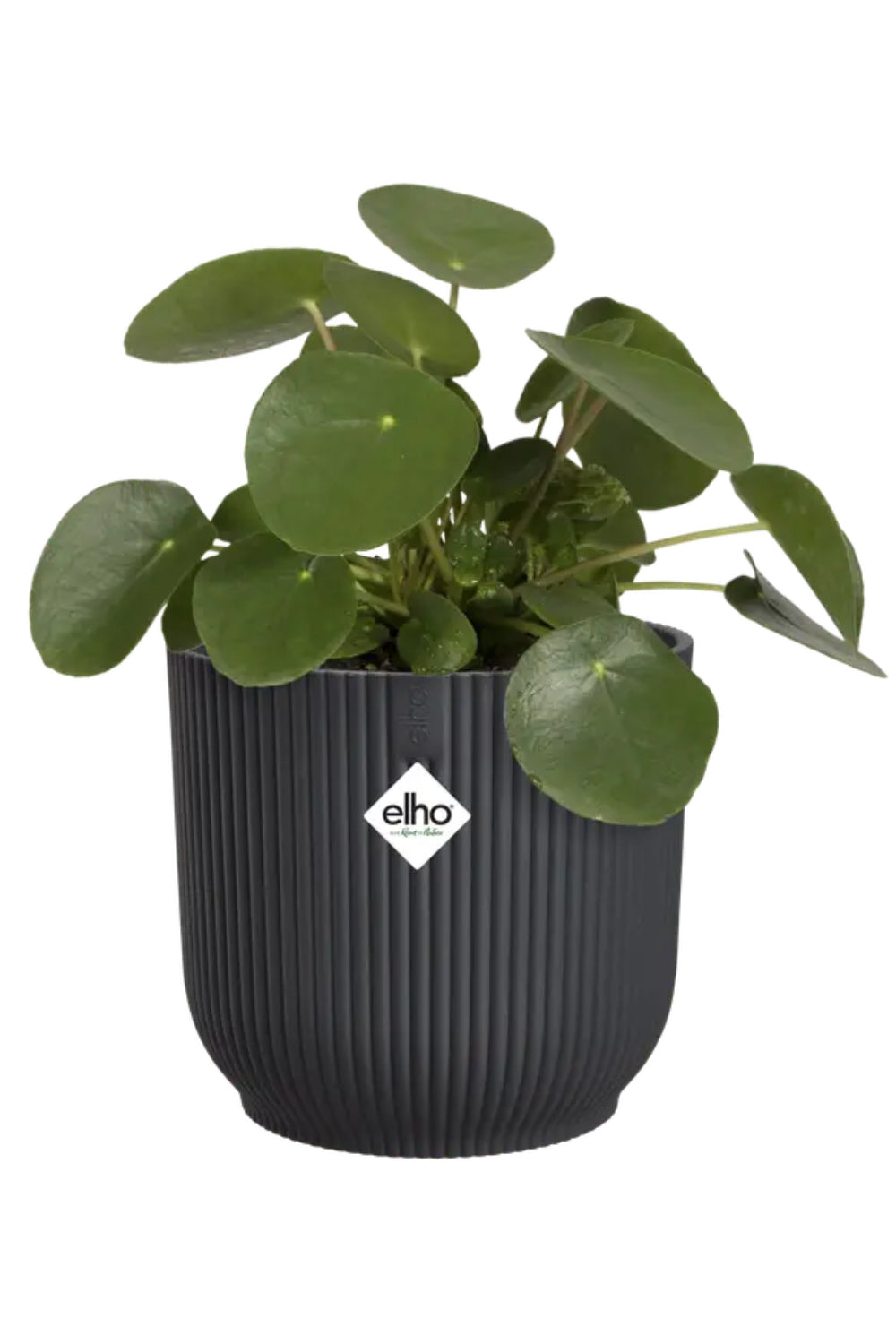 Blumentopf Elho Vibes Fold Rund 14 cm Anthrazit