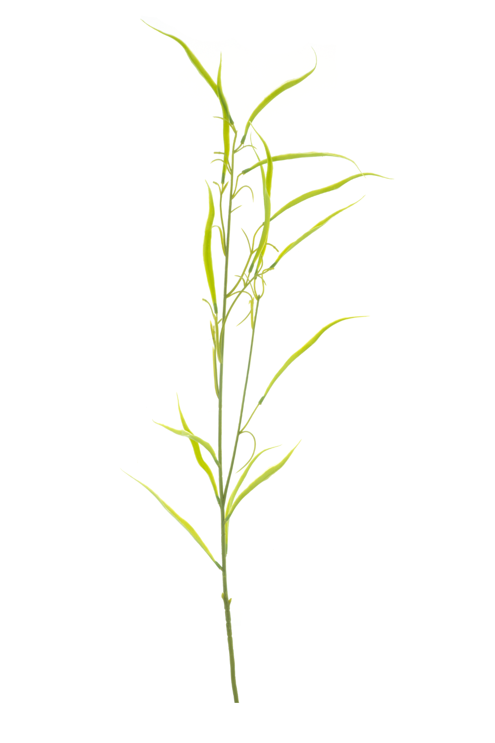 Kunstrasenzweig 71 cm